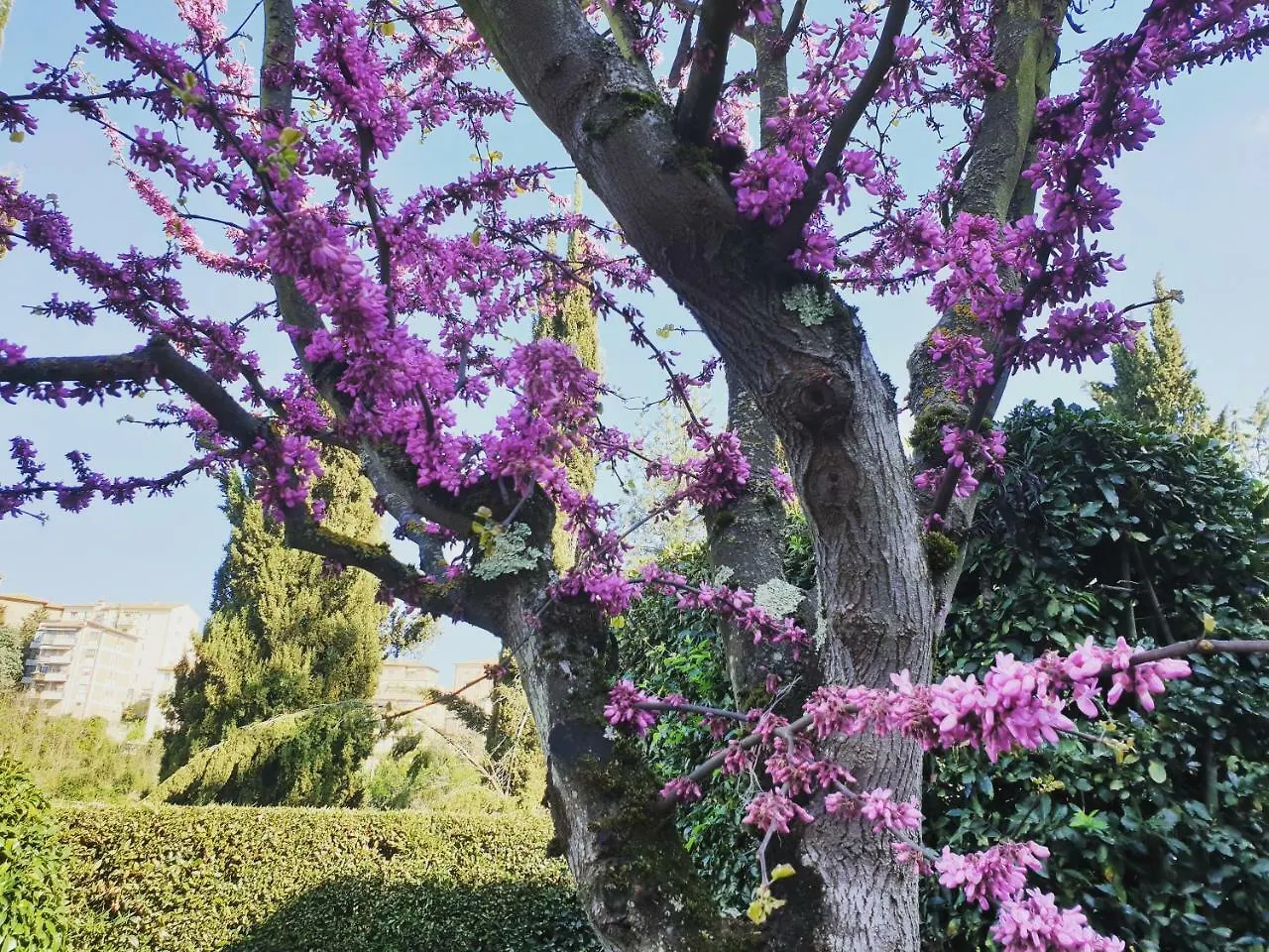 Villa Zara Siena 2*,  Italy